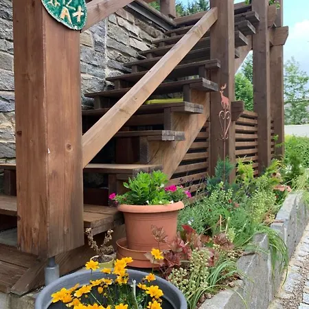 Berghuette Fichtelstreich Feriehus